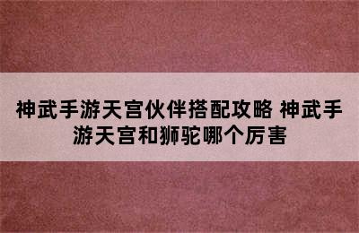 神武手游天宫伙伴搭配攻略 神武手游天宫和狮驼哪个厉害